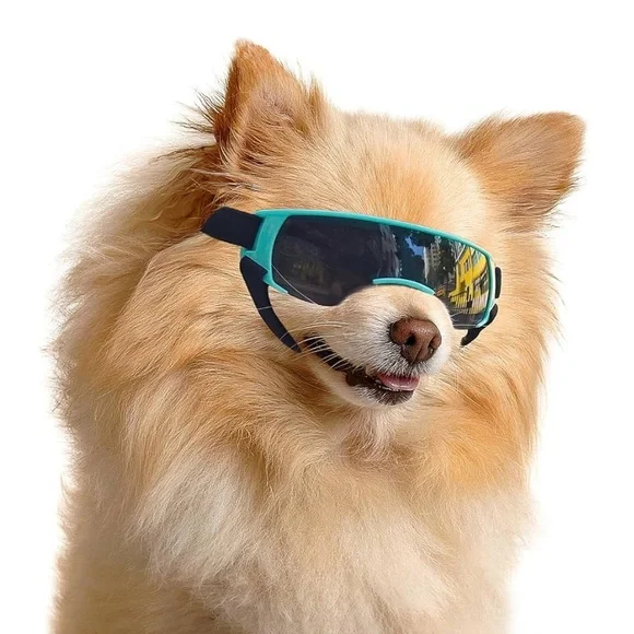 ✨BNWT - Dog/Cat/Rabbit Small Animal Breed Goggles
- Blue✨ - Picture 1 of 7